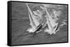 America's Cup Competitors-Alan Altman-Framed Stretched Canvas