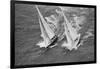 America's Cup Competitors-Alan Altman-Framed Premium Photographic Print