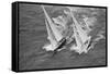 America's Cup Competitors-Alan Altman-Framed Stretched Canvas