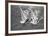 America's Cup Competitors-Alan Altman-Framed Photographic Print