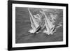 America's Cup Competitors-Alan Altman-Framed Photographic Print