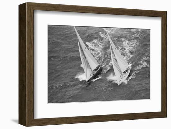 America's Cup Competitors-Alan Altman-Framed Photographic Print