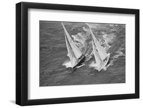 America's Cup Competitors-Alan Altman-Framed Photographic Print