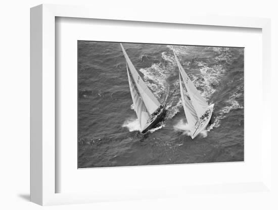 America's Cup Competitors-Alan Altman-Framed Photographic Print