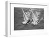 America's Cup Competitors-Alan Altman-Framed Photographic Print