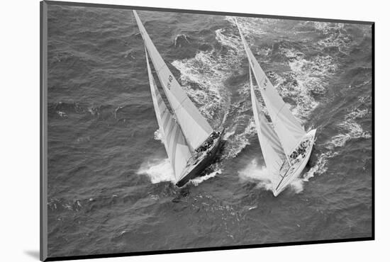 America's Cup Competitors-Alan Altman-Mounted Photographic Print