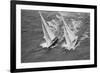 America's Cup Competitors-Alan Altman-Framed Photographic Print