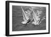 America's Cup Competitors-Alan Altman-Framed Photographic Print