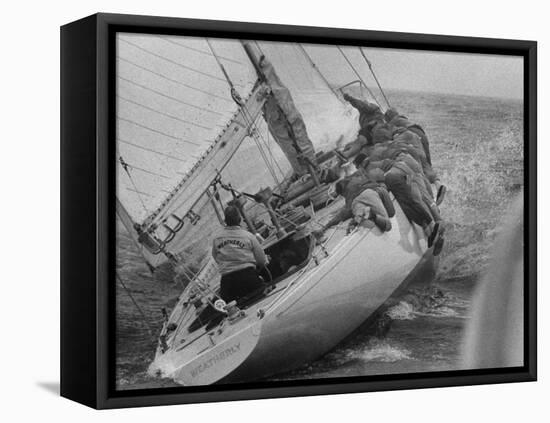 America's Cup Contender Weatherly Racing-null-Framed Stretched Canvas