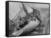 America's Cup Contender Weatherly Racing-null-Framed Stretched Canvas