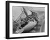 America's Cup Contender Weatherly Racing-null-Framed Premium Photographic Print