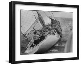 America's Cup Contender Weatherly Racing-null-Framed Photographic Print