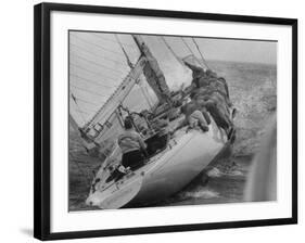 America's Cup Contender Weatherly Racing-null-Framed Photographic Print