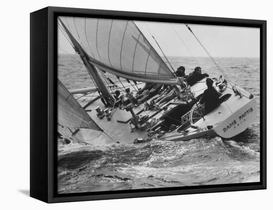 America's Cup Trials-null-Framed Stretched Canvas