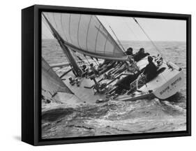 America's Cup Trials-null-Framed Stretched Canvas
