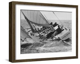 America's Cup Trials-null-Framed Photographic Print