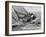 America's Cup Trials-null-Framed Photographic Print