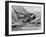 America's Cup Trials-null-Framed Photographic Print