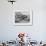 America's Cup Trials-null-Framed Photographic Print displayed on a wall