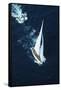 America's Cup Yacht Gretel II-null-Framed Stretched Canvas