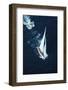 America's Cup Yacht Gretel II-null-Framed Photographic Print