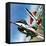 America's Deadly Dogfighter, the Yf - 16-Wilf Hardy-Framed Stretched Canvas