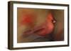 America's Favorite Red Bird-Jai Johnson-Framed Giclee Print