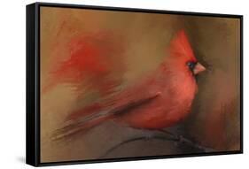 America's Favorite Red Bird-Jai Johnson-Framed Stretched Canvas