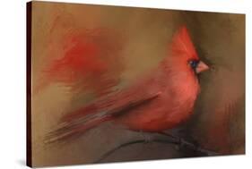 America's Favorite Red Bird-Jai Johnson-Stretched Canvas