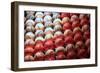 America's Pastime I-Tammy Putman-Framed Photographic Print