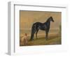 America’s Renowned Stallions, c. 1876 I-Vintage Reproduction-Framed Art Print