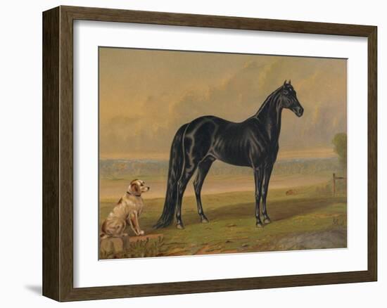 America’s Renowned Stallions, c. 1876 I-Vintage Reproduction-Framed Art Print