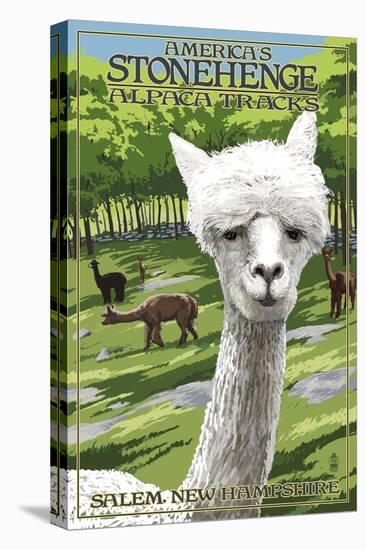 America's Stonehenge, New Hampshire - Alpacas-Lantern Press-Stretched Canvas