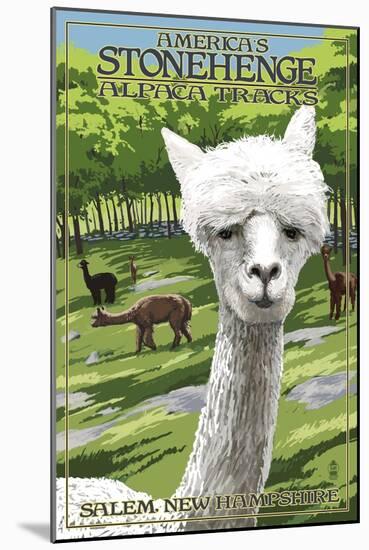 America's Stonehenge, New Hampshire - Alpacas-Lantern Press-Mounted Art Print