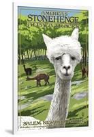 America's Stonehenge, New Hampshire - Alpacas-Lantern Press-Framed Art Print