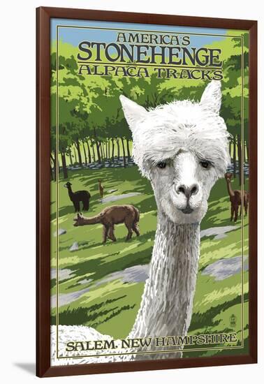 America's Stonehenge, New Hampshire - Alpacas-Lantern Press-Framed Art Print