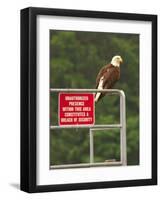 America Under Eagle Watch-Charles Glover-Framed Giclee Print