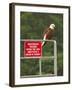 America Under Eagle Watch-Charles Glover-Framed Giclee Print