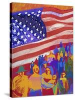 America-Diana Ong-Stretched Canvas