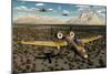 American A-10 Thunderbolts Flying in Formation over a Desert Landscape-null-Mounted Premium Giclee Print