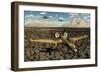 American A-10 Thunderbolts Flying in Formation over a Desert Landscape-null-Framed Art Print