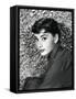 American Actress Audrey Hepburn in 1954-null-Framed Stretched Canvas