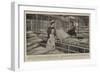 American Aid for Our Wounded, a Ward in the Hospital Ship Maine-null-Framed Giclee Print