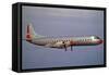 American Airlines Lockheed Electra Turbo-Prop 1966-null-Framed Stretched Canvas