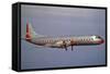 American Airlines Lockheed Electra Turbo-Prop 1966-null-Framed Stretched Canvas