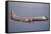 American Airlines Lockheed Electra Turbo-Prop 1966-null-Framed Stretched Canvas