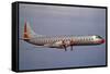 American Airlines Lockheed Electra Turbo-Prop 1966-null-Framed Stretched Canvas