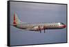 American Airlines Lockheed Electra Turbo-Prop 1966-null-Framed Stretched Canvas