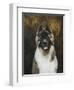 American Akita-Solveiga-Framed Giclee Print