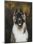 American Akita-Solveiga-Mounted Giclee Print